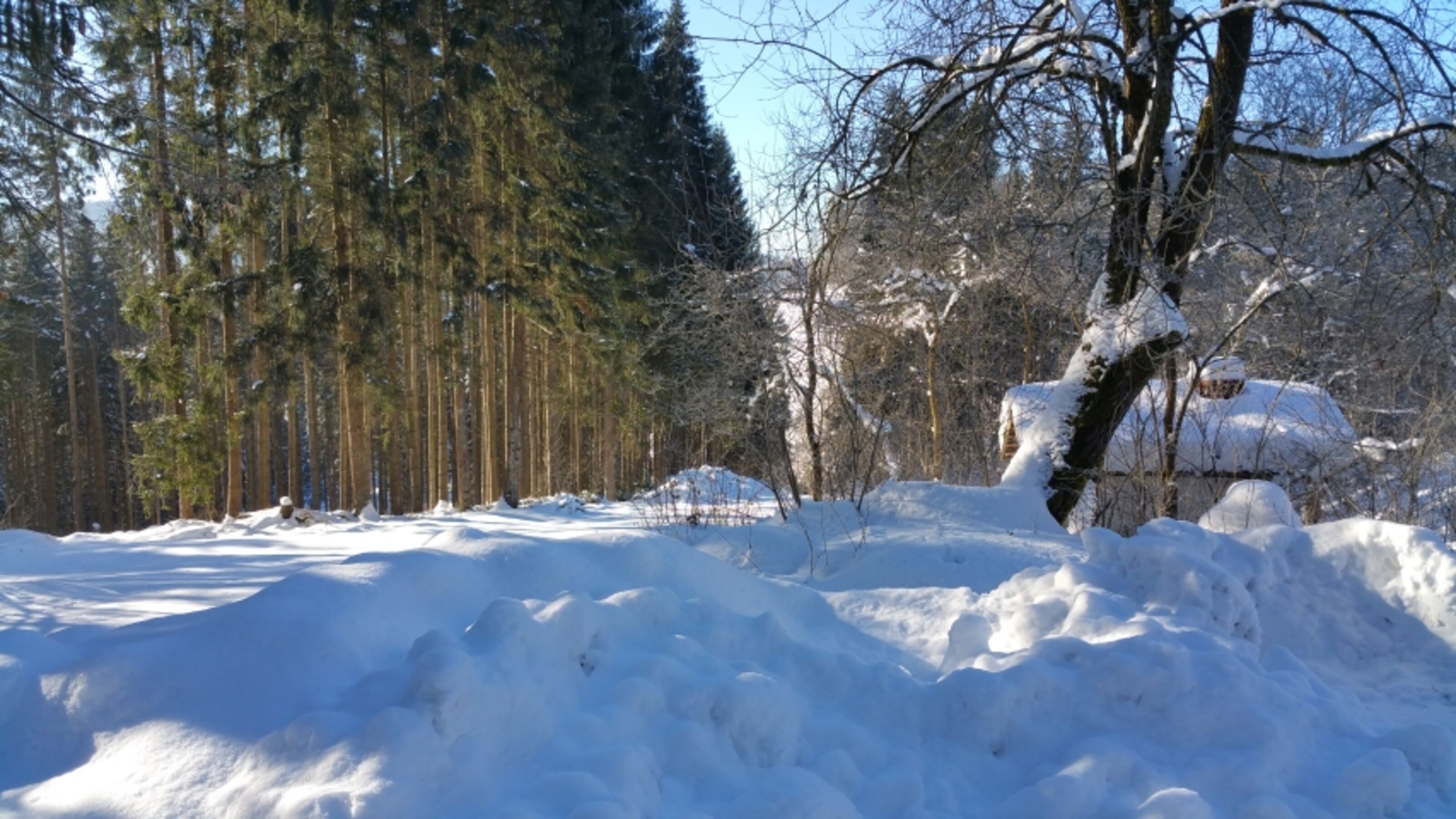 Bild 24