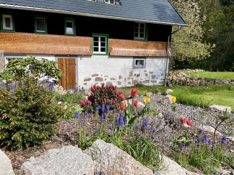 Rückseite Ferienhäusle