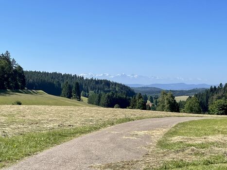 Wandern mit Alpenblick