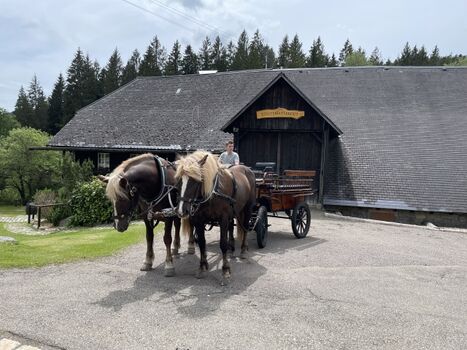 Kutschfahrt in Blasiwald