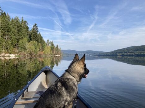 Jerry darf natürlich auch nicht fehlen