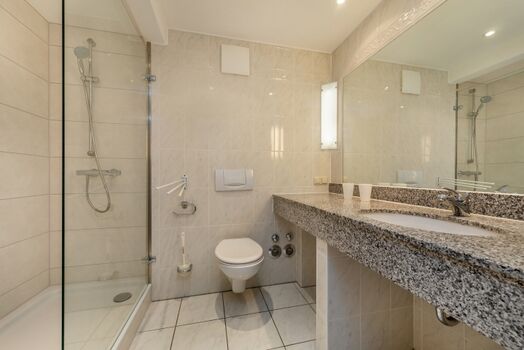 Das Bad mit Echglasdusche, WC und Fön.