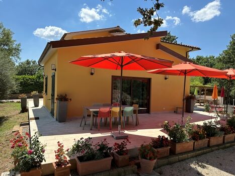 Frontansicht mit Terrasse