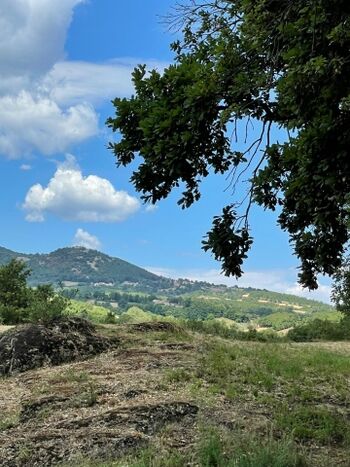 Sicht auf die Hügel