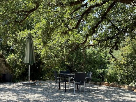 Auszeit unter 100-jährigen Eichen