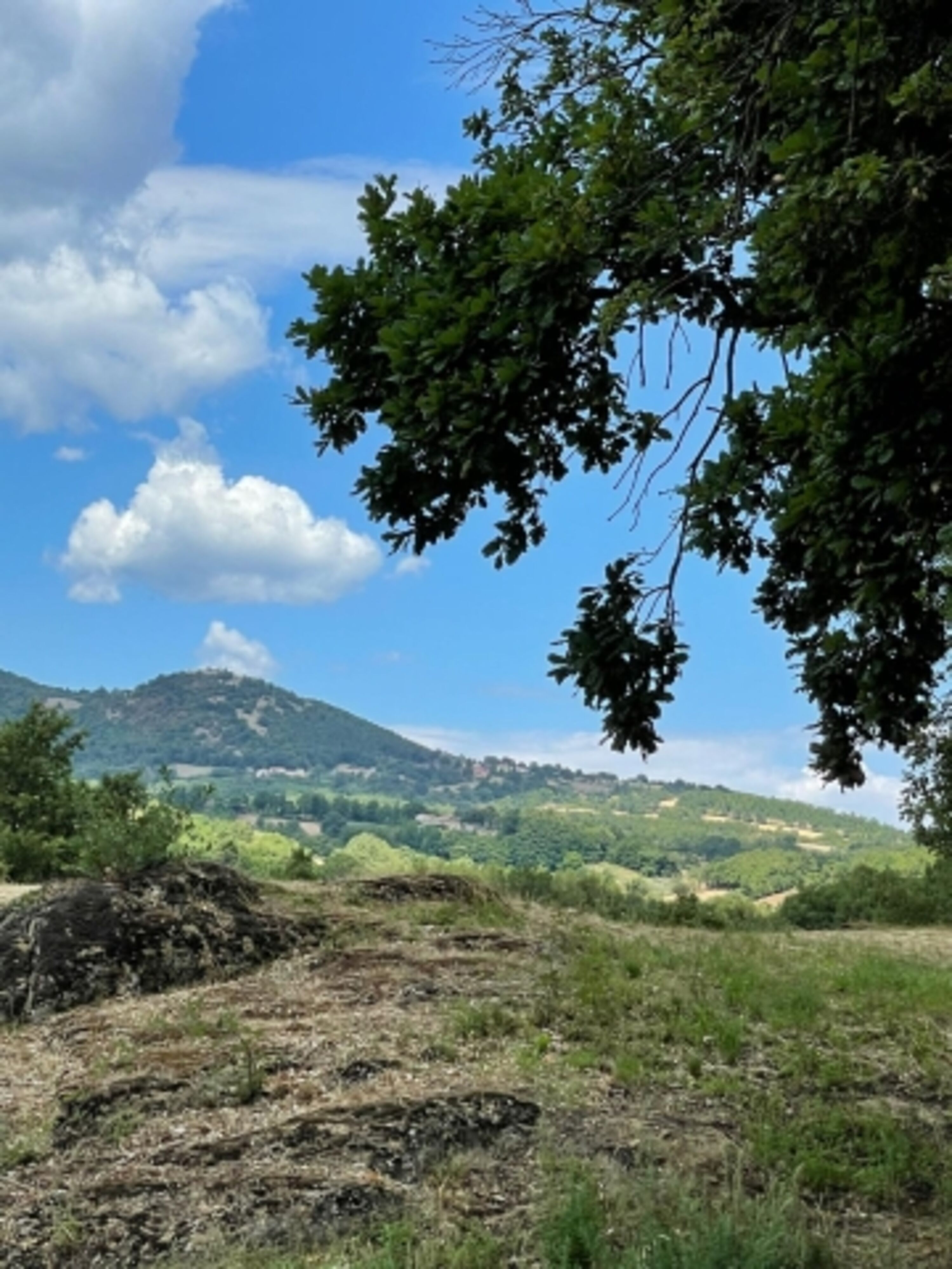 Sicht auf die Hügel