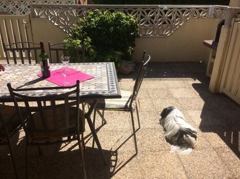 Terrasse Ferienhaus La Merhttps://login.fewo-touristik.de/images/objekte/1509358470_8051.jpeg?t=1651501534