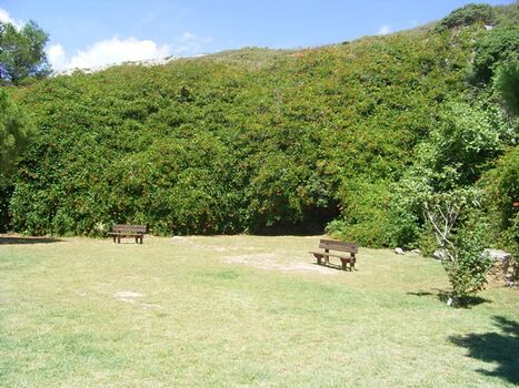 Park beim Haus La Mer