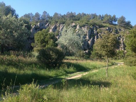 Spazierweg zum See Narbonne-Plage