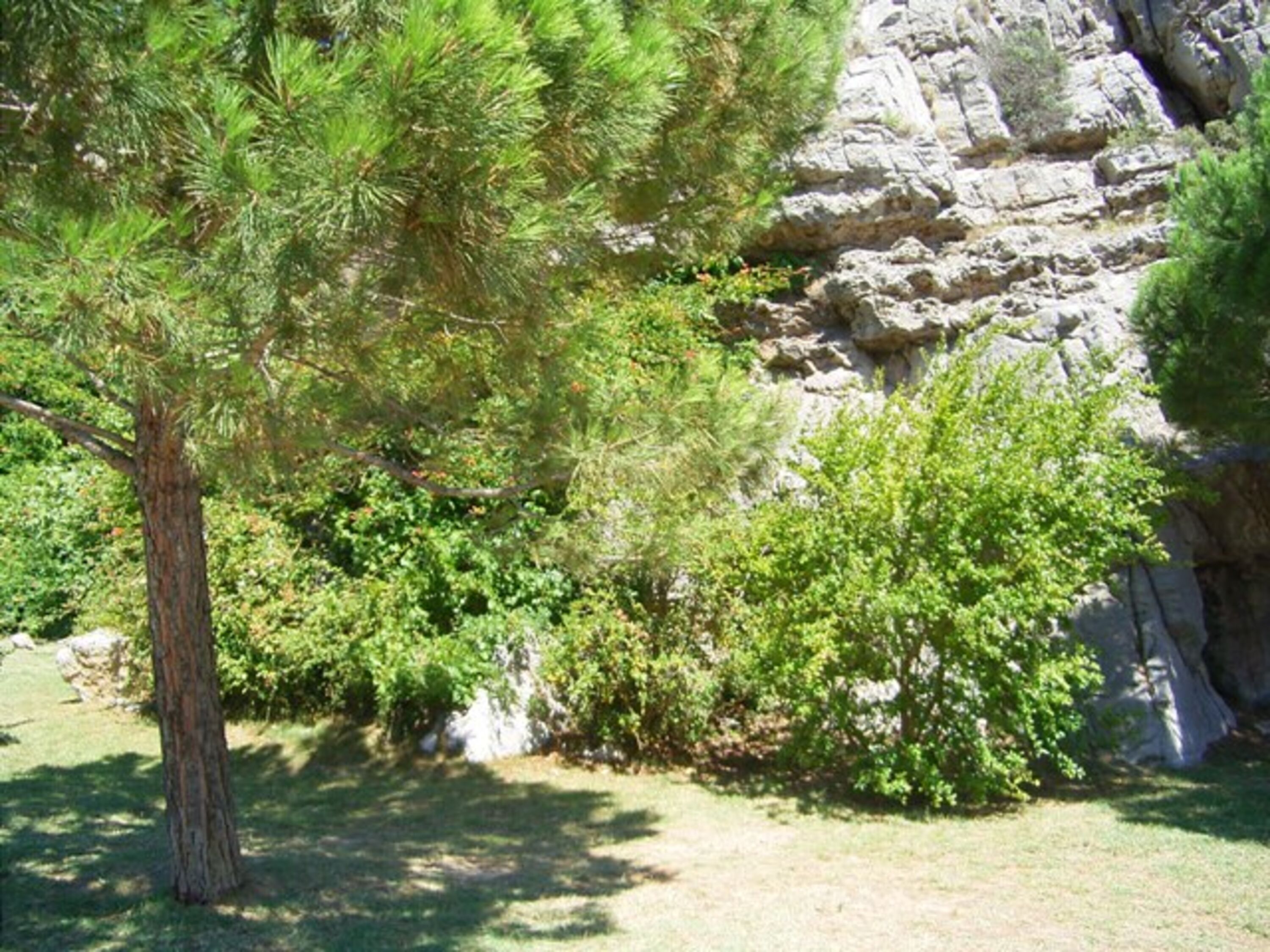 Park beim Haus La Mer