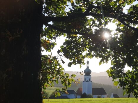 Ausblick vom Pfahl auf den Ort