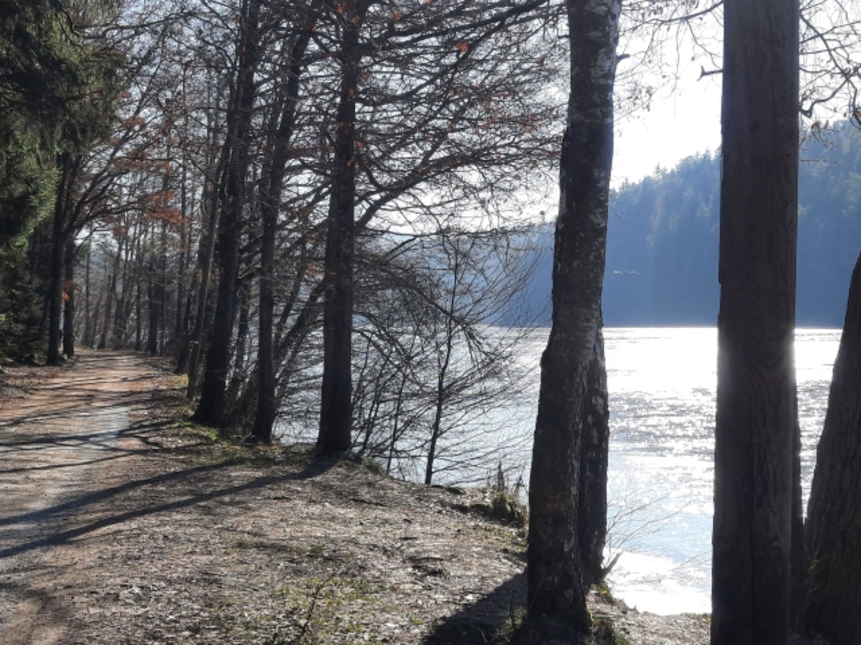 Blaibacher See