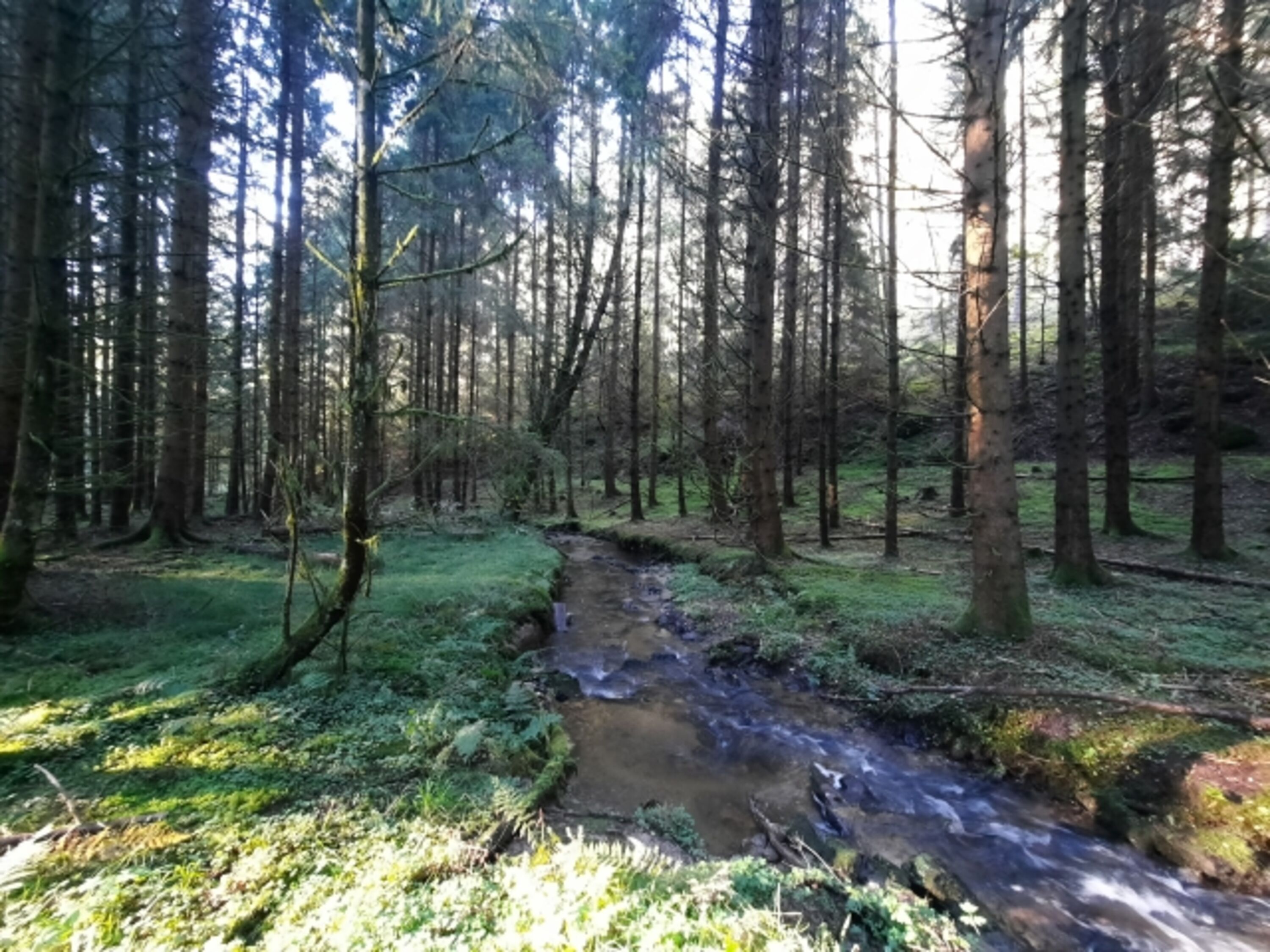 Am Kugelbach