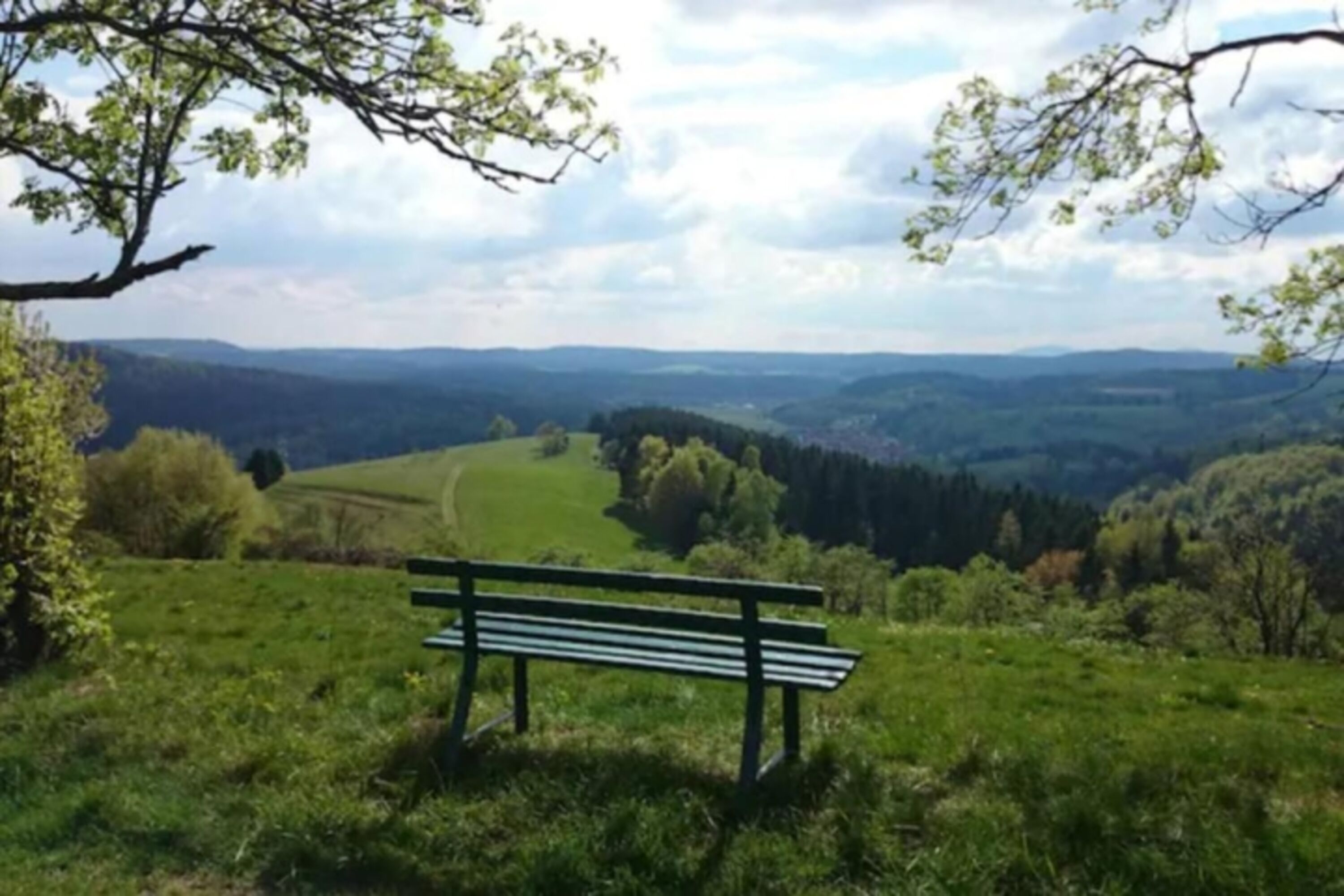 Bild 19