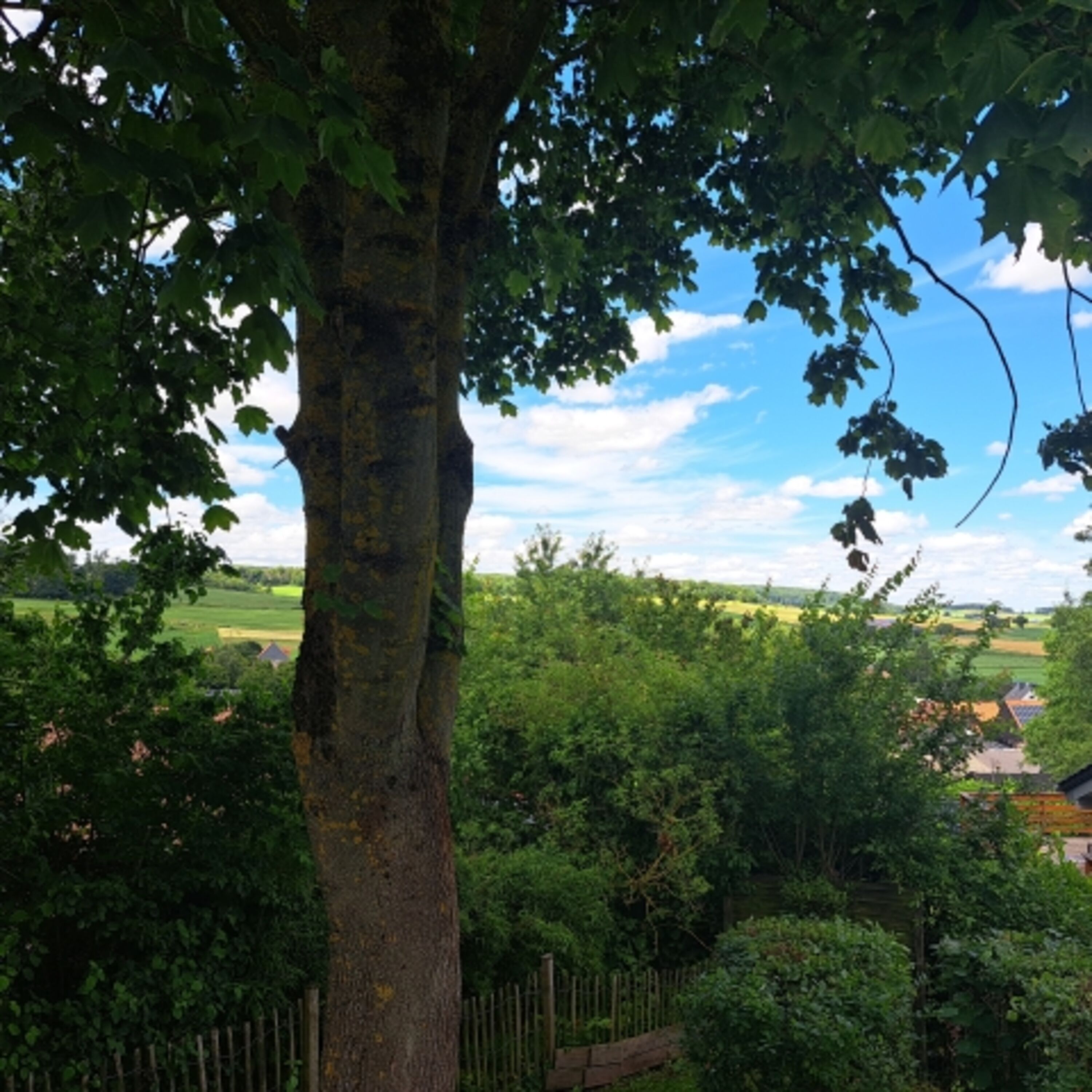 Aussicht