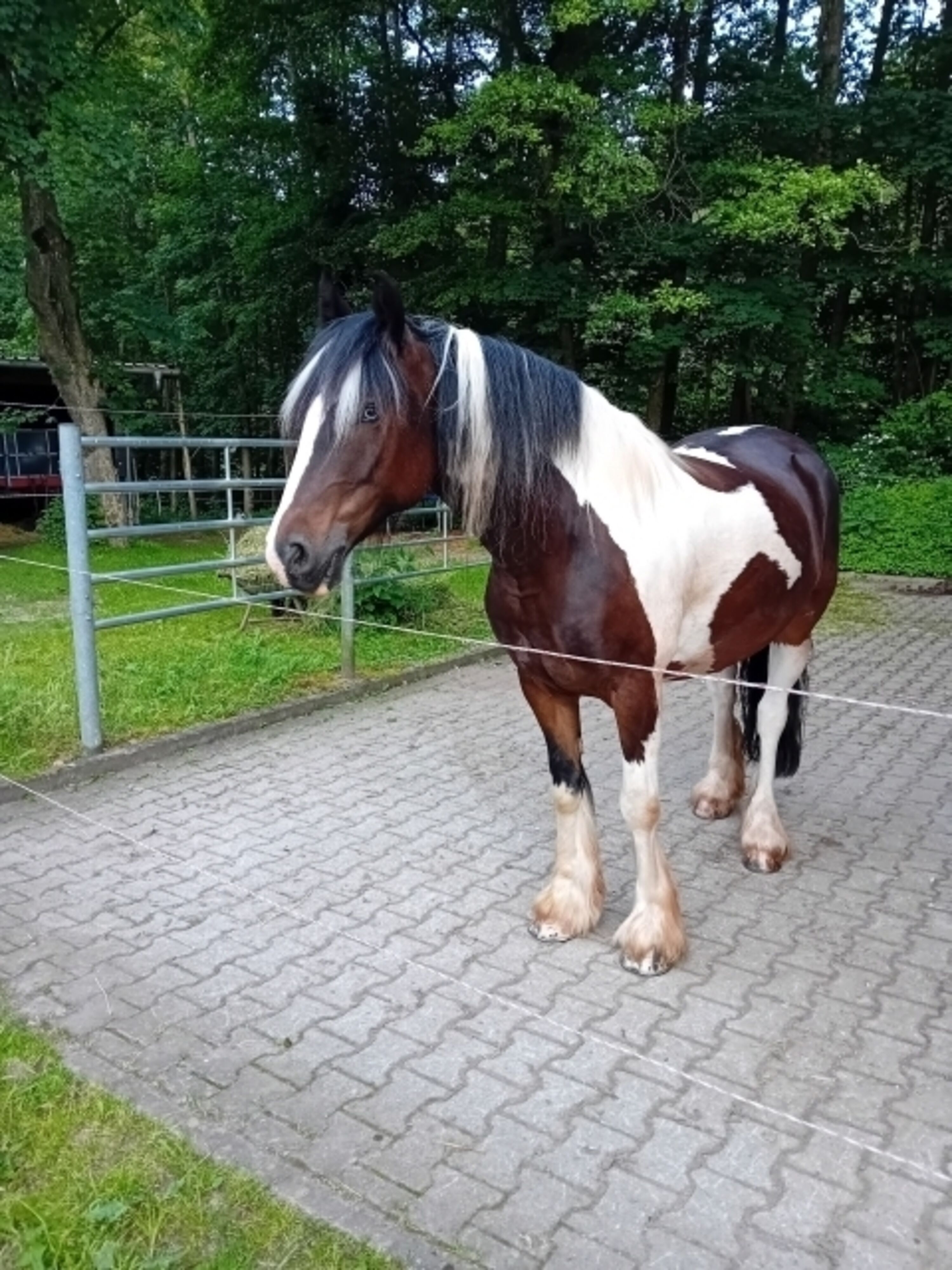 Bild 29