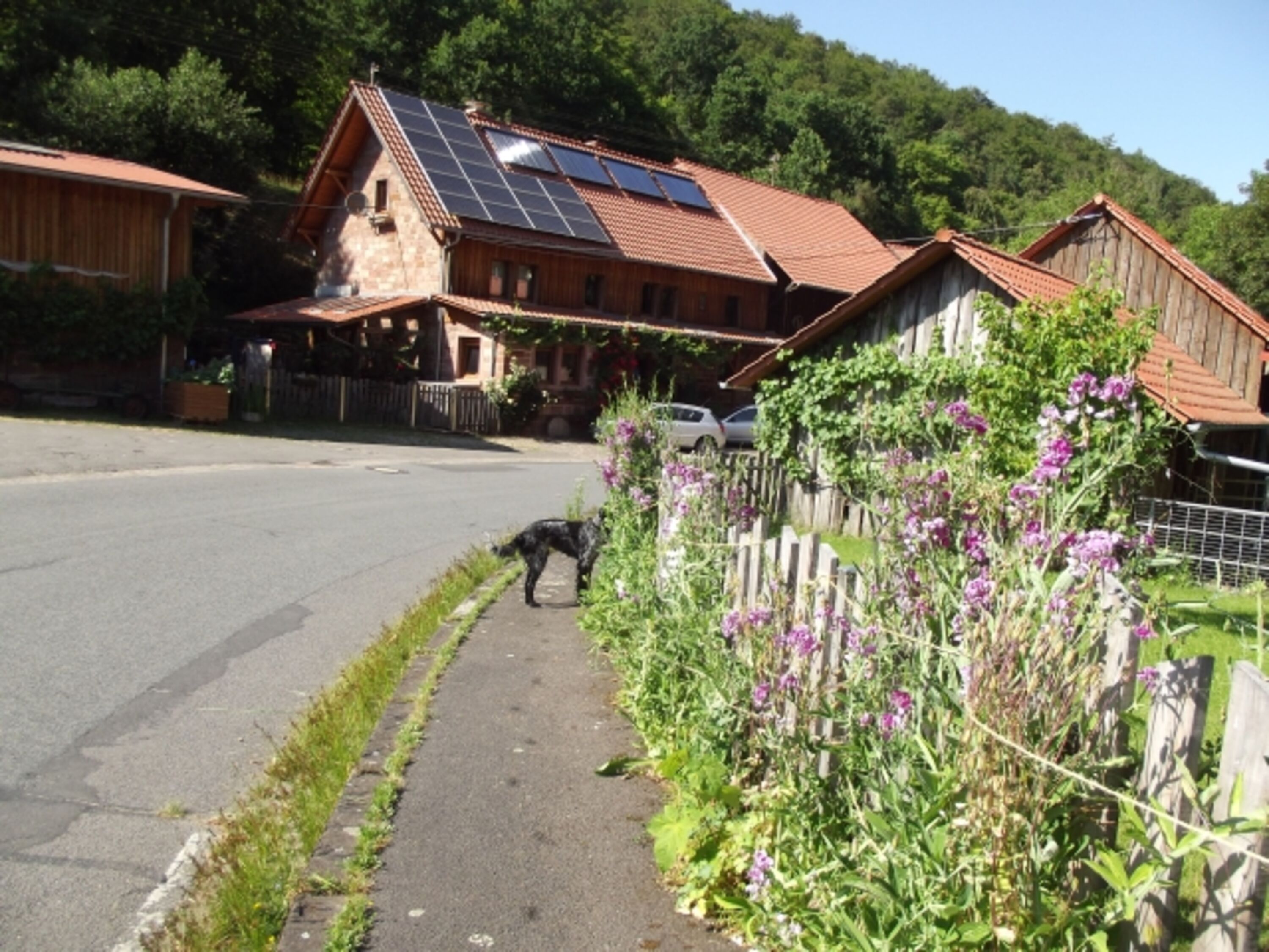 Bild 7