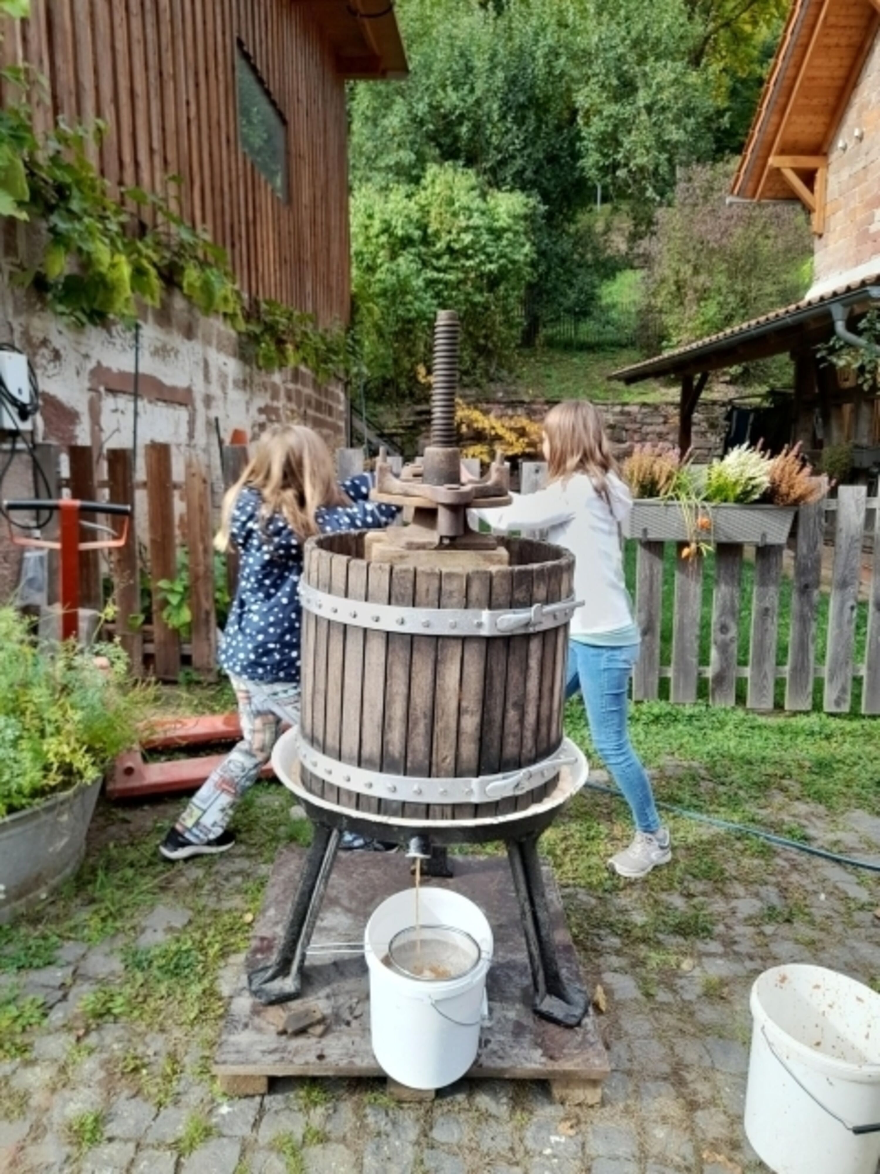 Bild 12
