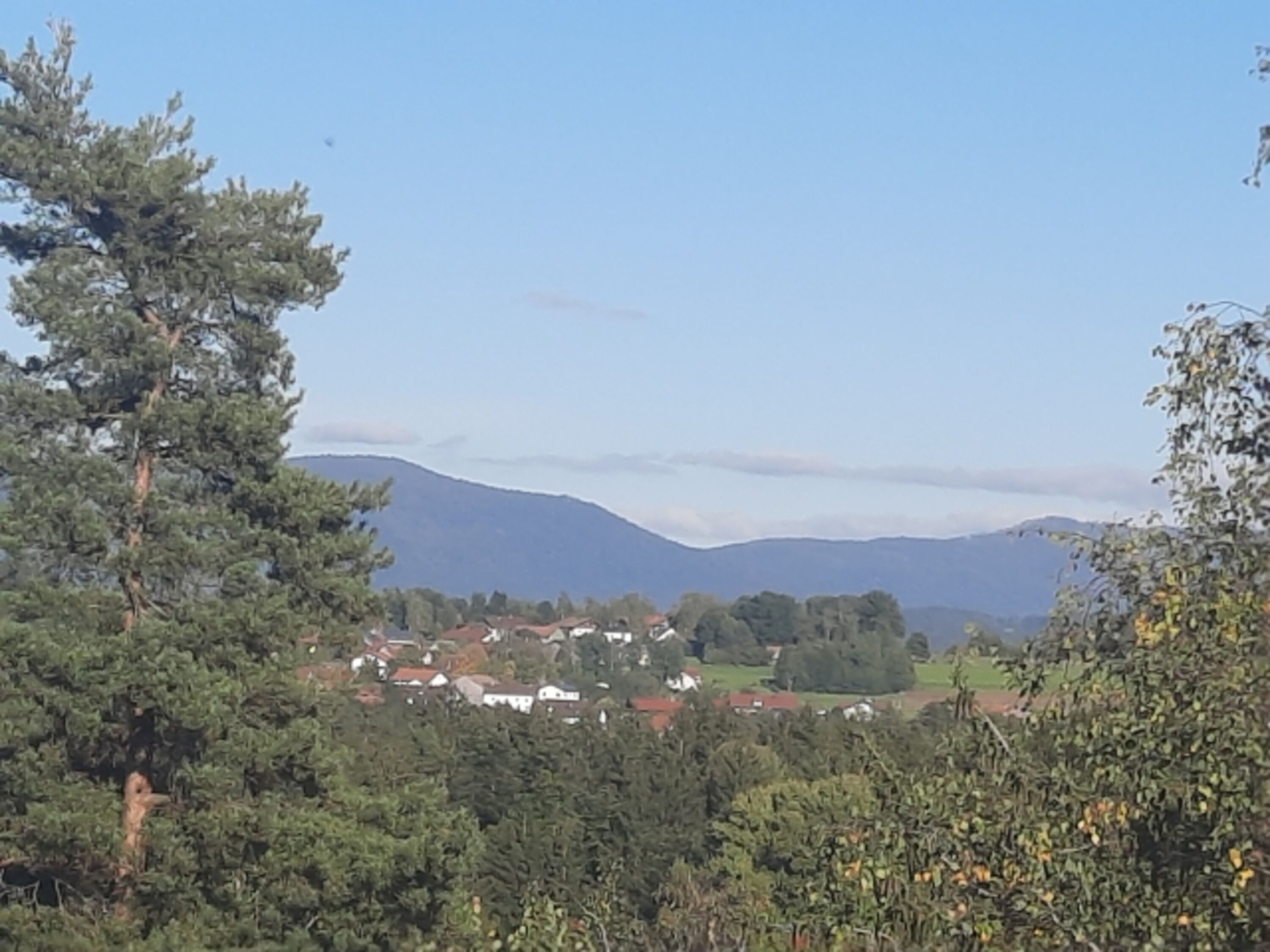 Ausblick vom Pfahl