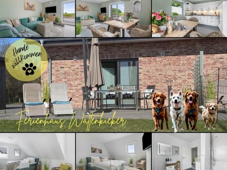 Tierisch guter Urlaub an der Nordsee bei St. Peter-Ording