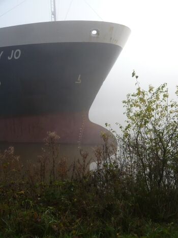 Ein Schiff gleitet heran - Ausblick aus der Ferienwohnung am Nordostseekanal NOK