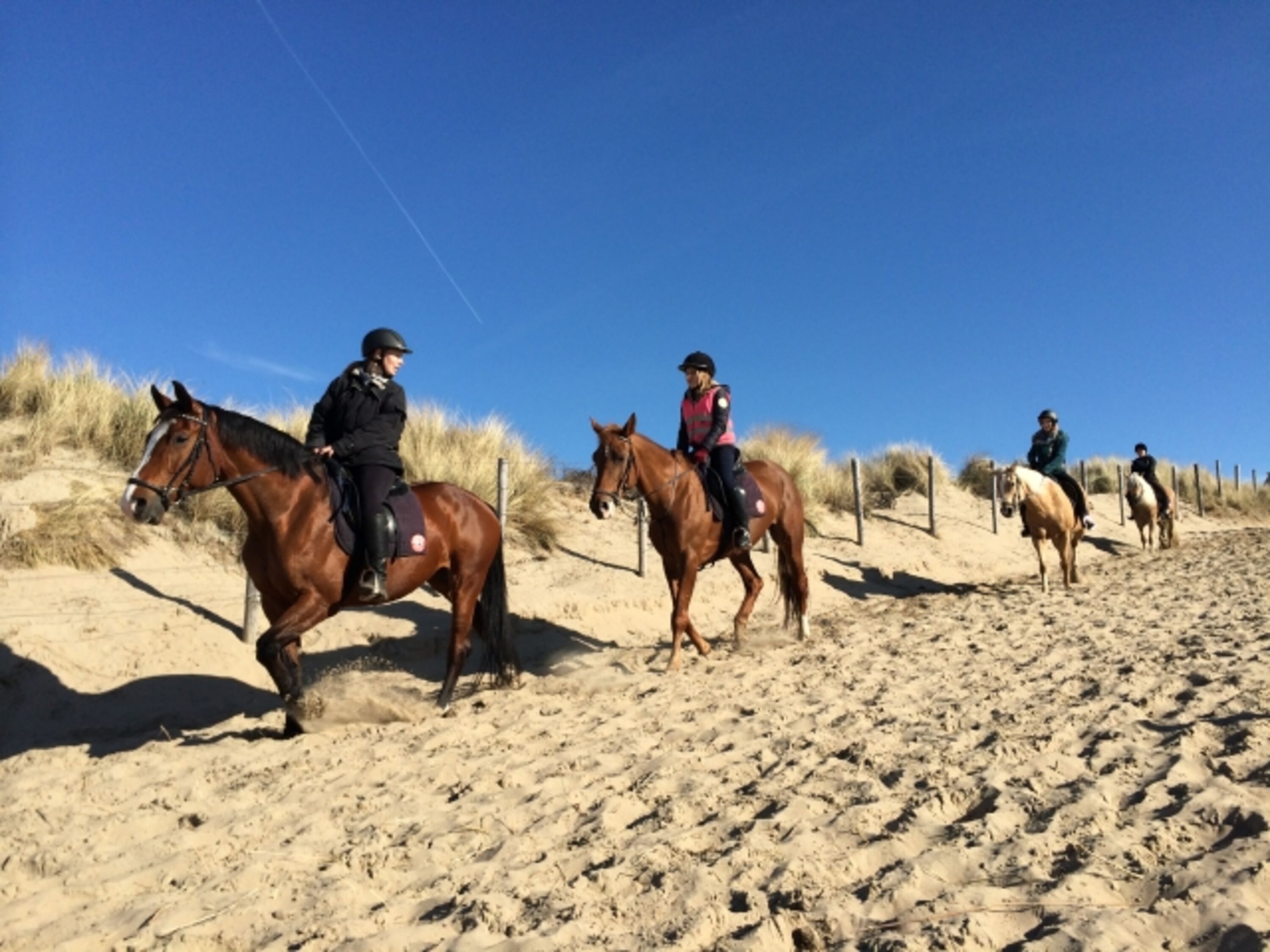 Bild 15