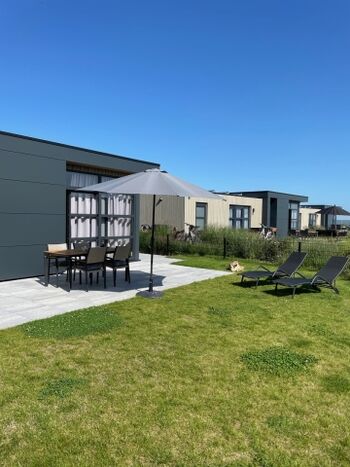 schönem, eingezäunten Garten zum Chillen