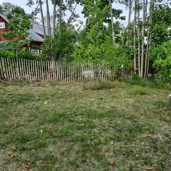 das Grundstück ist zum großen Teil umzäunt, ca. 1.000 von 1.900 m²