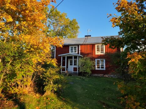 Leben wie Michel.......