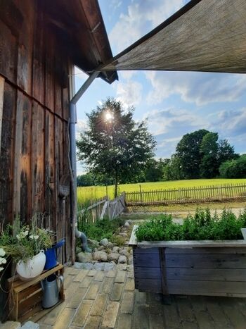 Terrasse hinter dem Haus