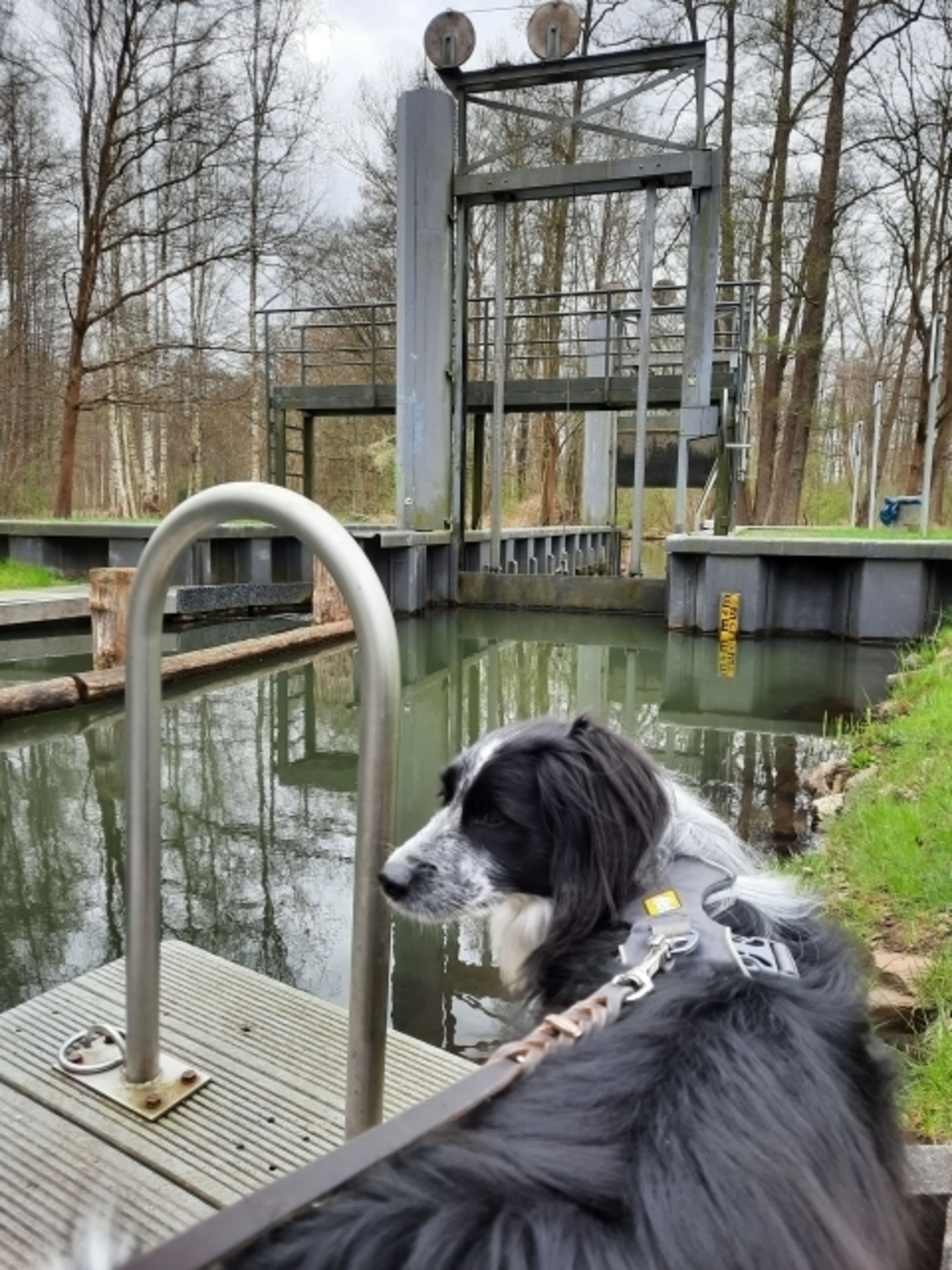 Schleuse Waldschlößchenstraße 