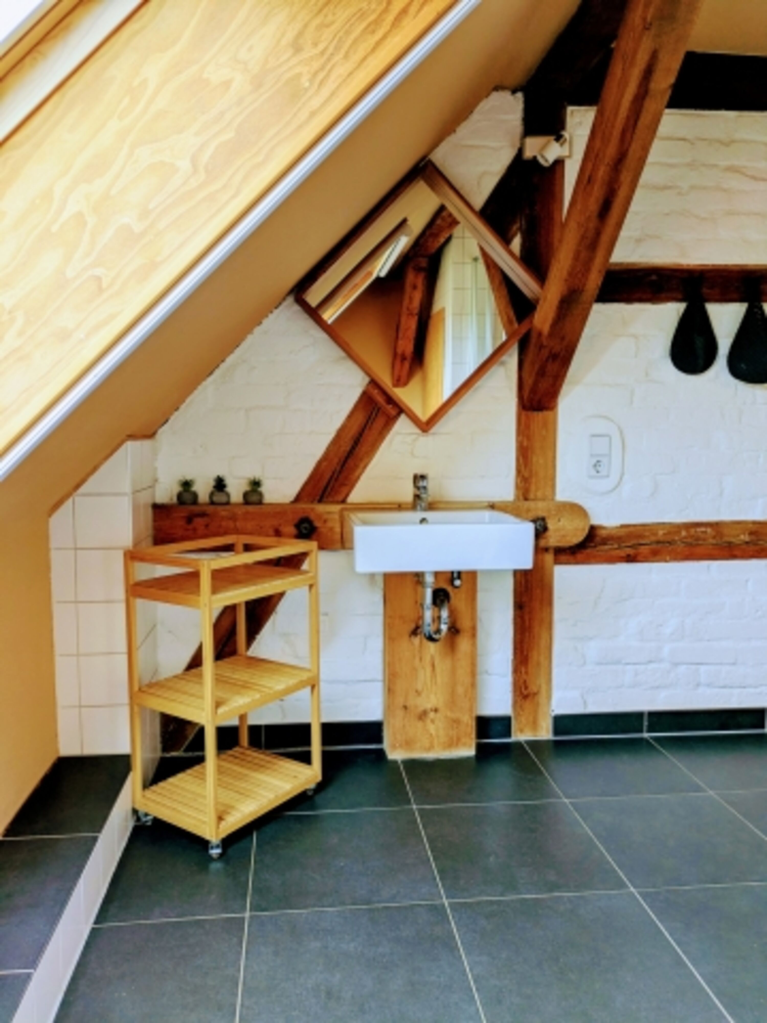 Bild 15