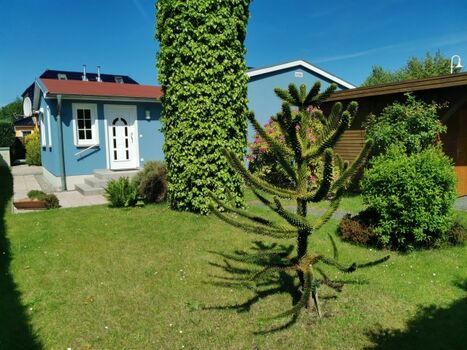 vorderer Gartenbereich