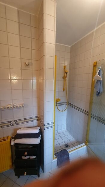 mit grosser Dusche !
