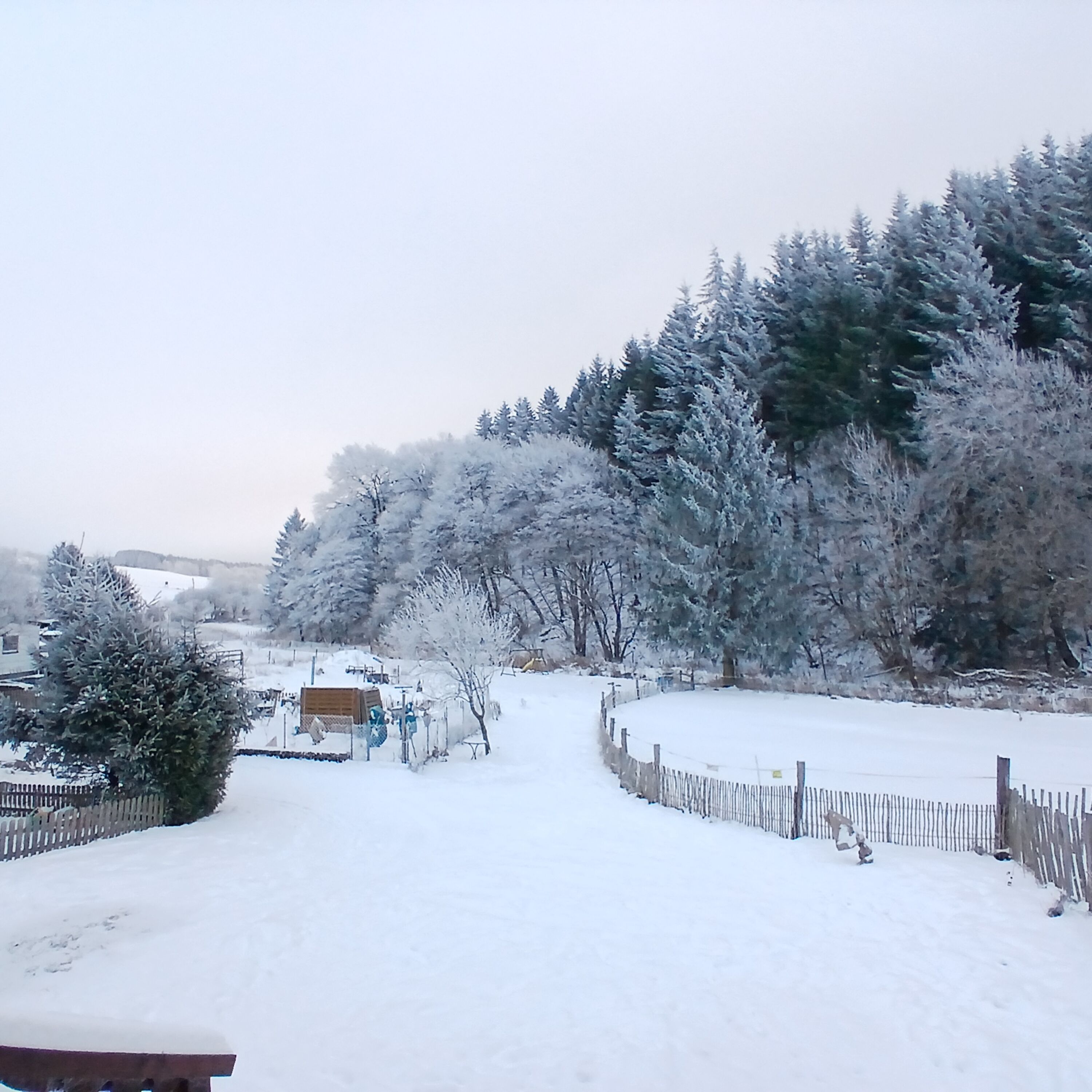 Winter