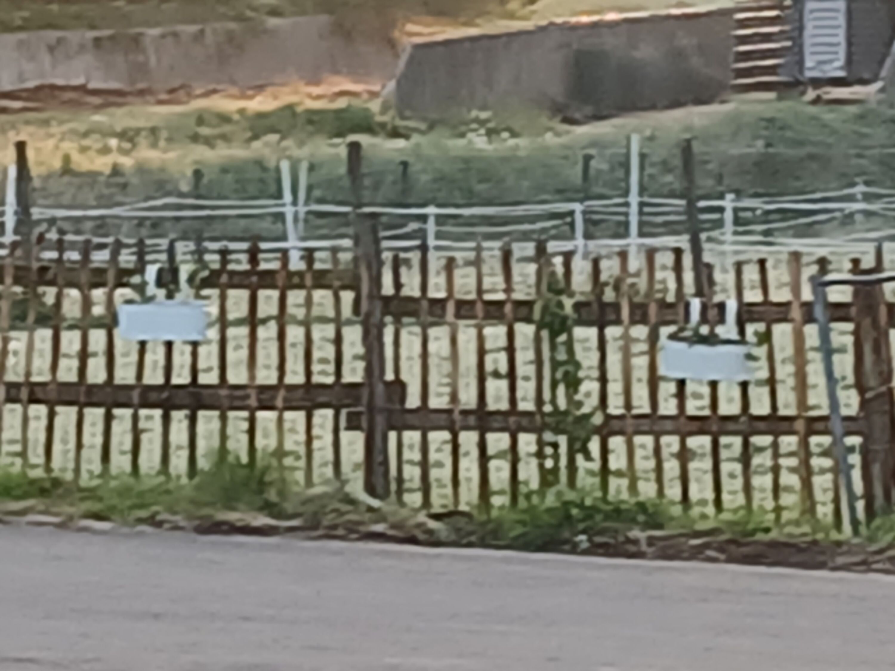 Gartenbereich