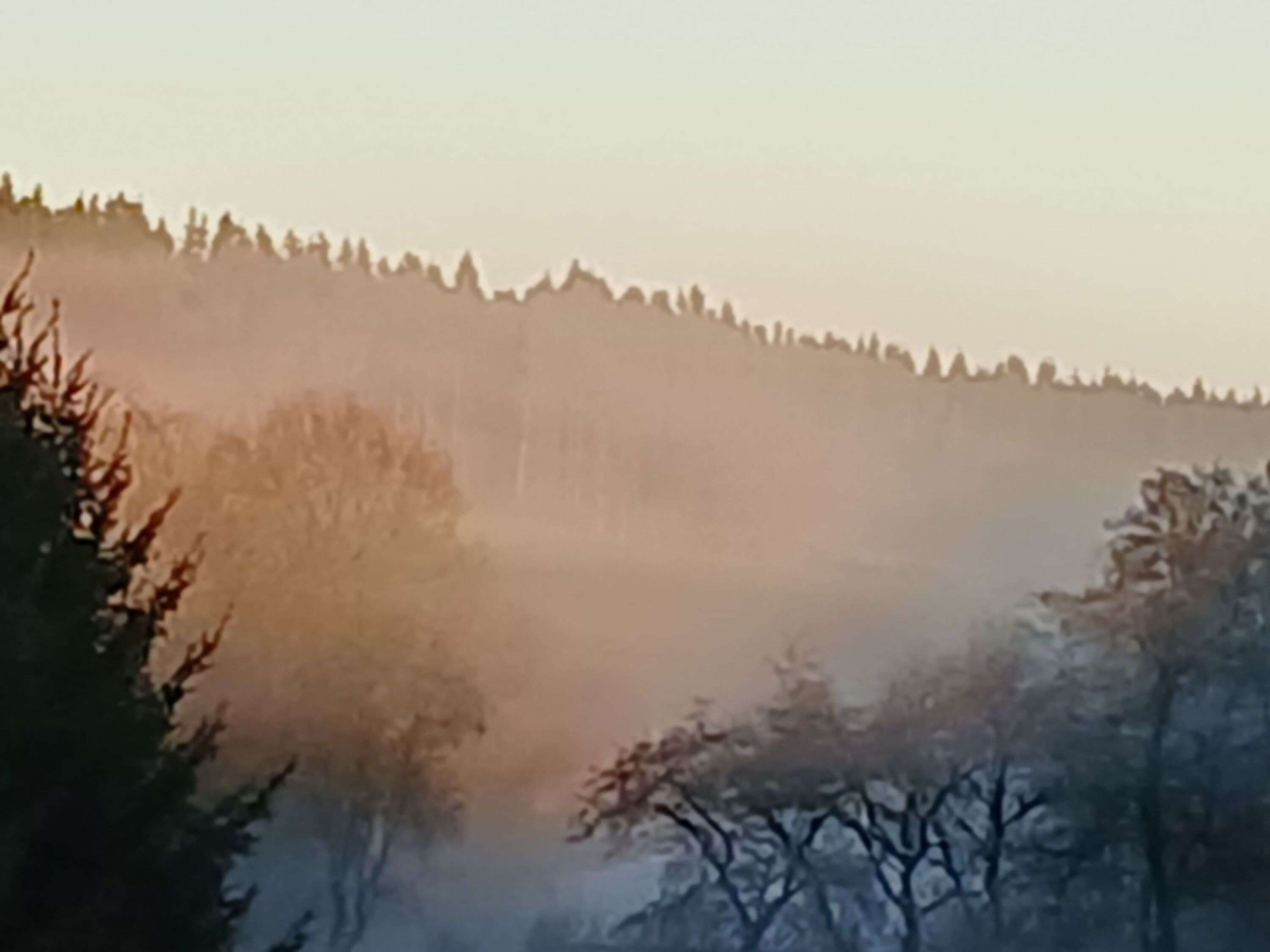 Am frühen Morgen