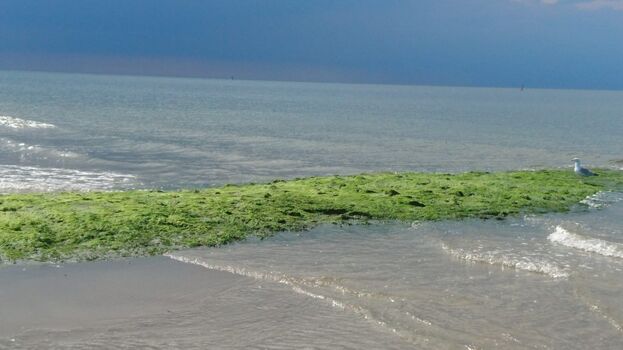 Zum Surferbecken radeln
