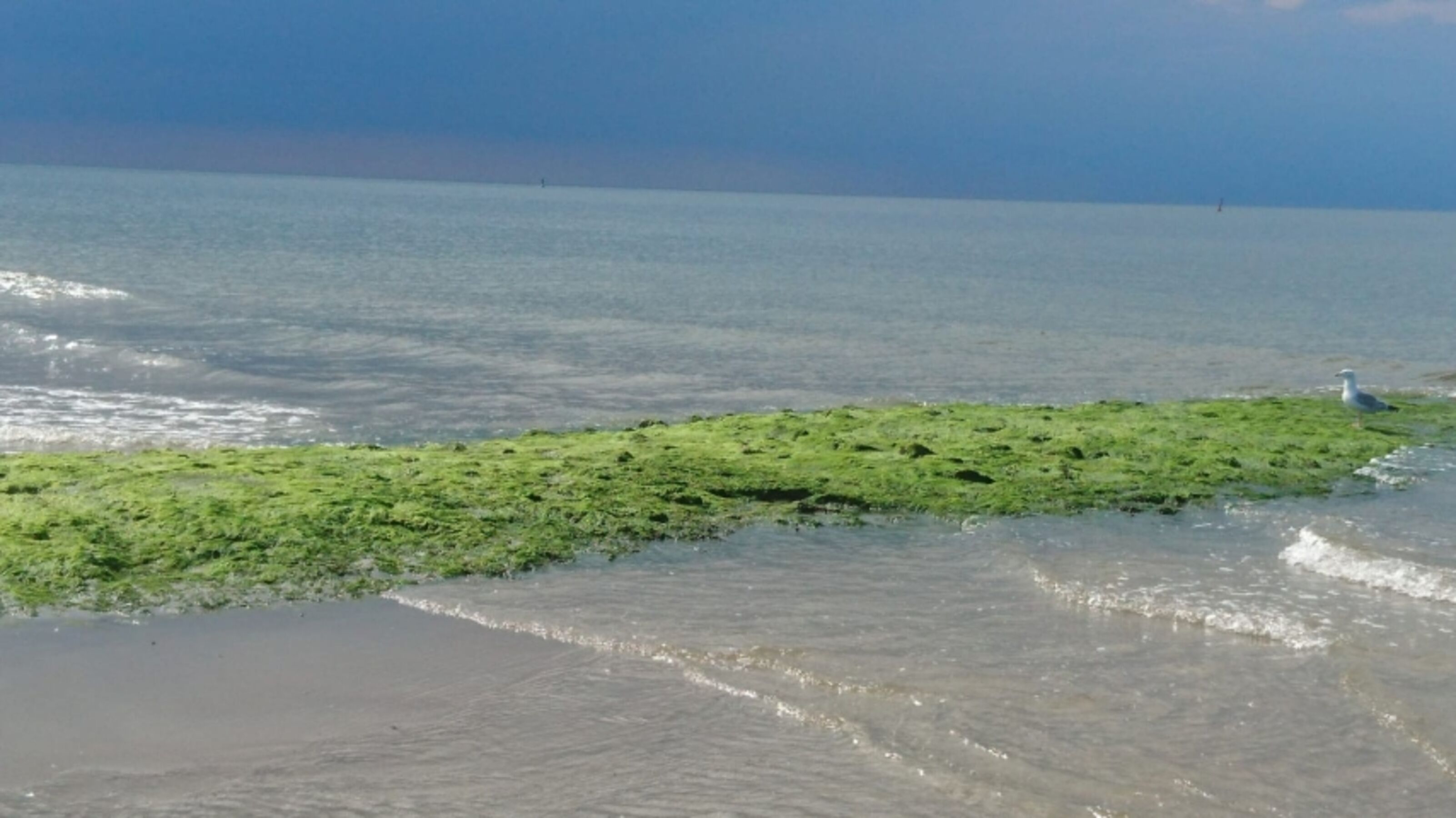 Zum Surferbecken radeln
