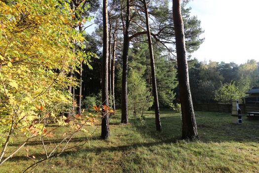 der eingezäunte Garten