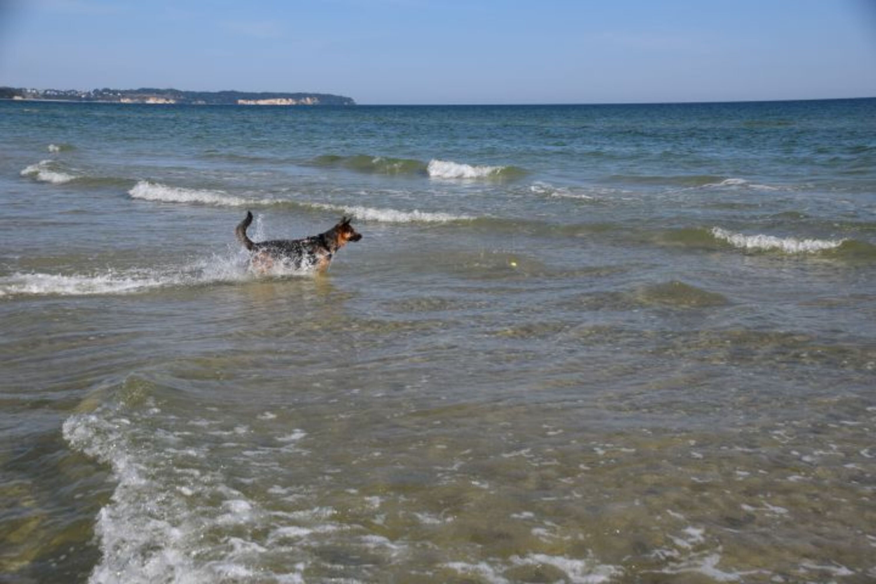 Bild 16