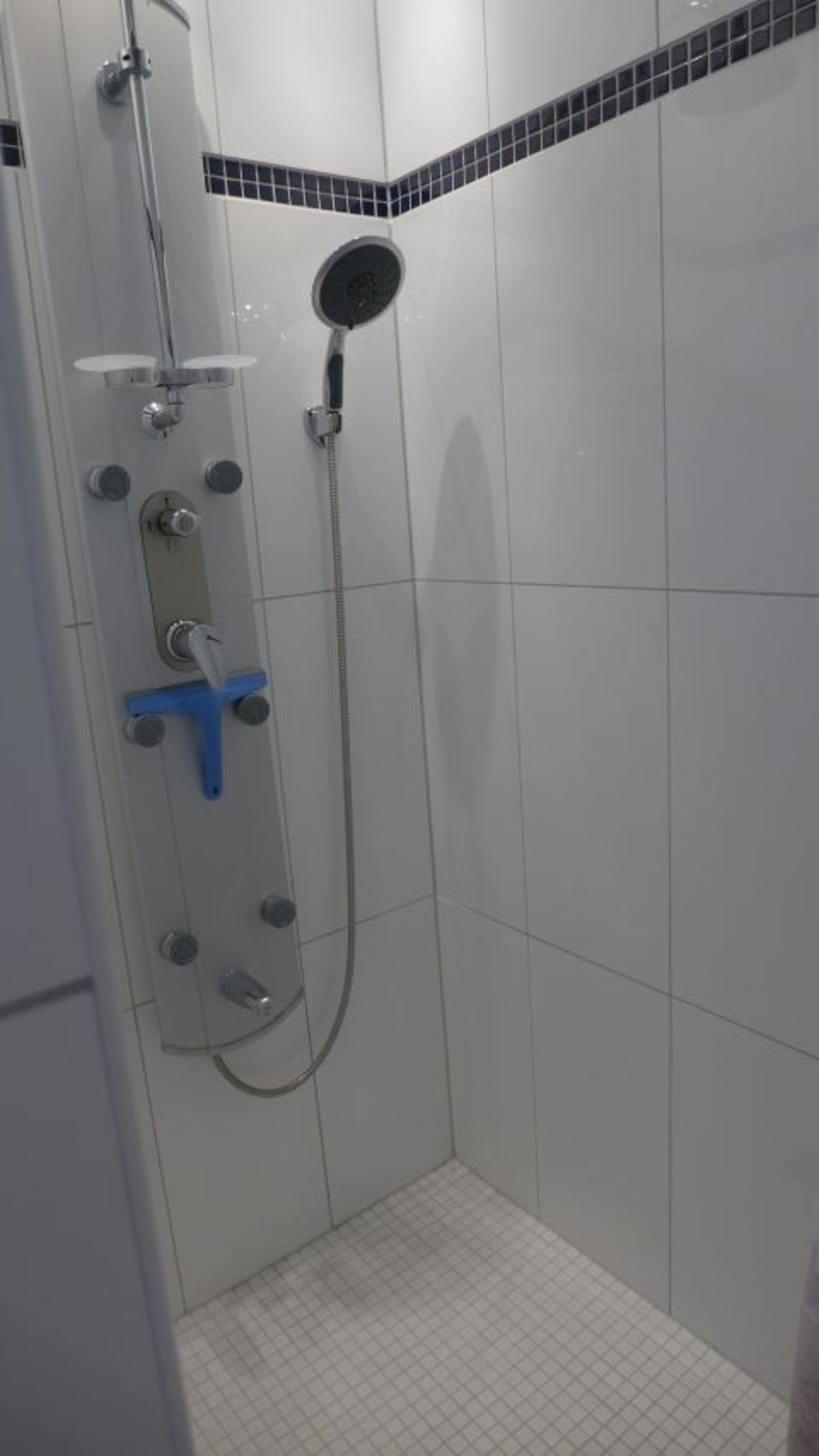 die ebenerdige große Dusche