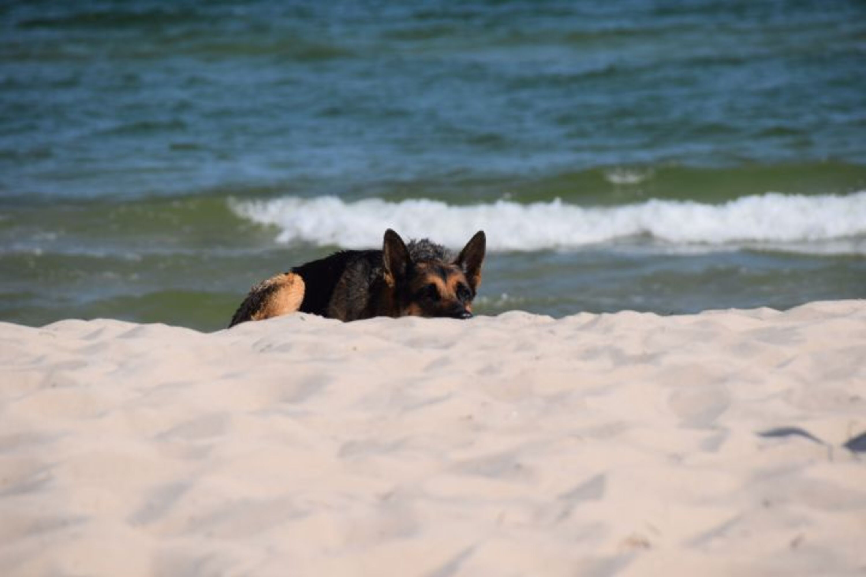 Bild 19