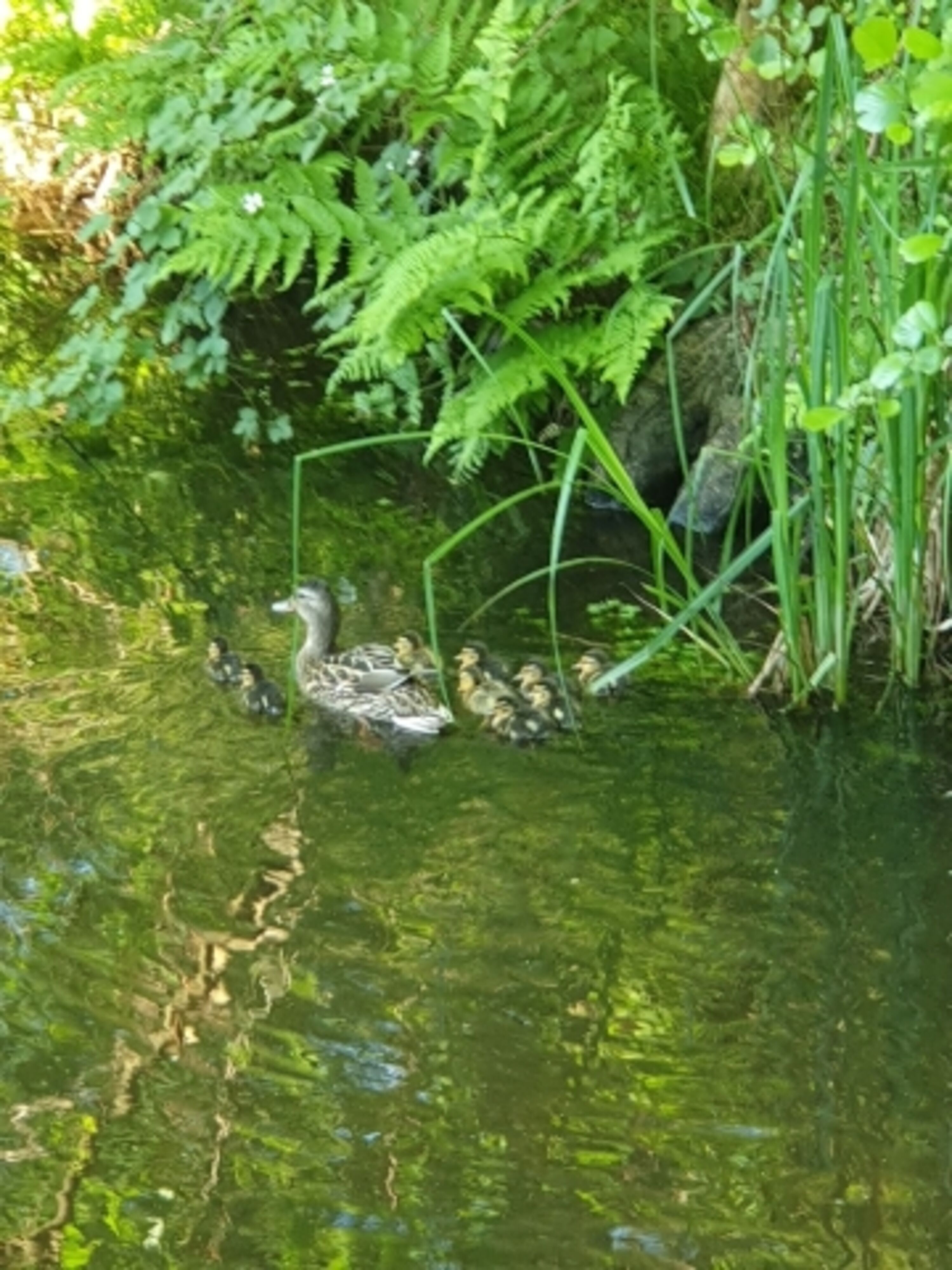 Bild 22