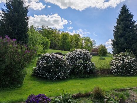 viel Platz zum Spielen