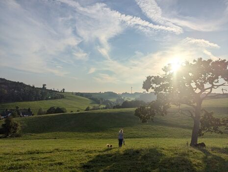 die Seele baumeln lassen