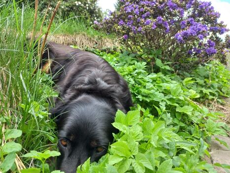 ... und zum Entspannen für euch und eure Lieben