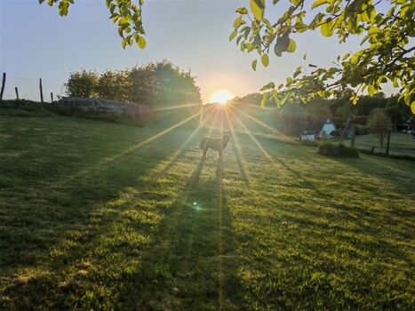 ... und der Sonne beim Untergehen zuzusehen