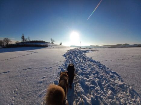 ... und in der richtig kalten erst recht