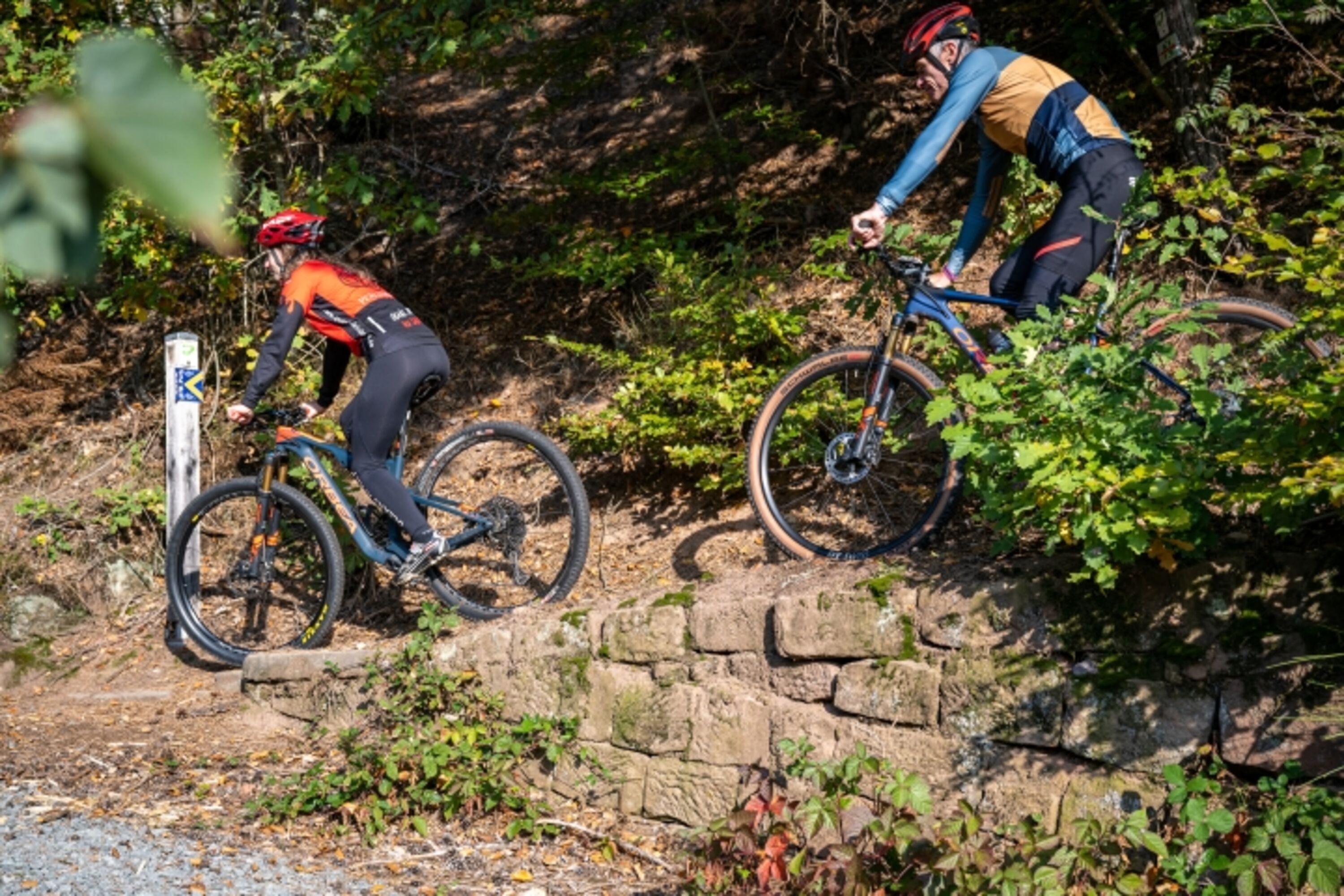 Mountainbikepark Pfälzerwald